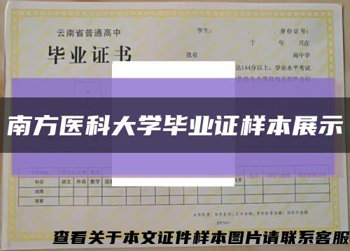 南方医科大学毕业证样本展示缩略图