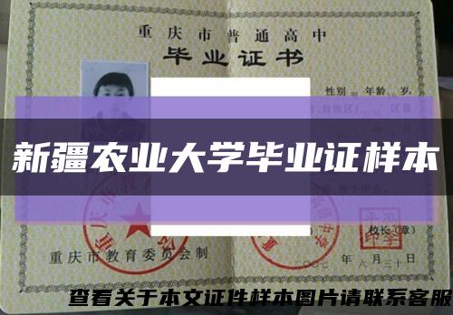 新疆农业大学毕业证样本缩略图