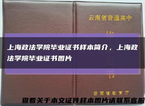 上海政法学院毕业证书样本简介，上海政法学院毕业证书图片缩略图