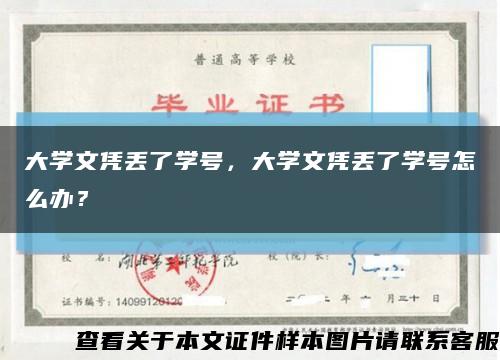 大学文凭丢了学号，大学文凭丢了学号怎么办？缩略图