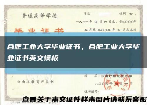 合肥工业大学毕业证书，合肥工业大学毕业证书英文模板缩略图