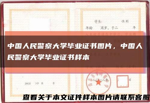中国人民警察大学毕业证书图片，中国人民警察大学毕业证书样本缩略图