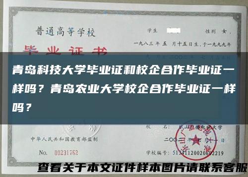 青岛科技大学毕业证和校企合作毕业证一样吗？青岛农业大学校企合作毕业证一样吗？缩略图