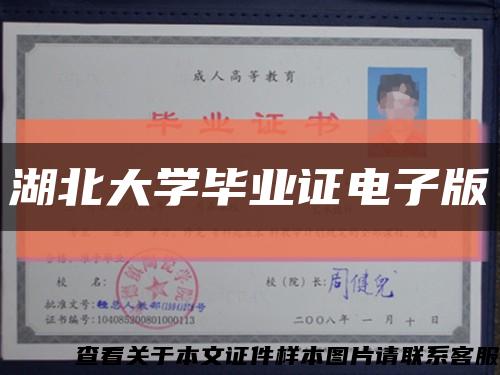 湖北大学毕业证电子版缩略图