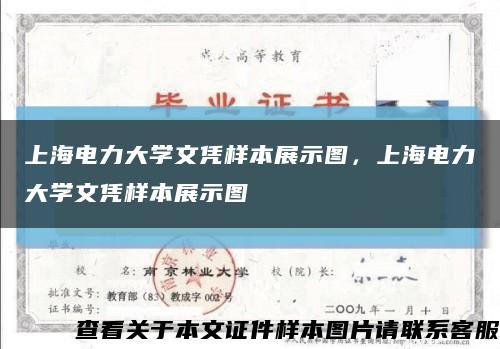 上海电力大学文凭样本展示图，上海电力大学文凭样本展示图缩略图