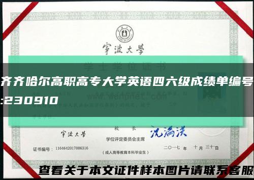齐齐哈尔高职高专大学英语四六级成绩单编号:230910缩略图