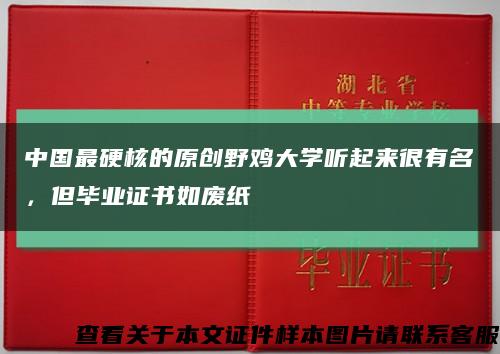 中国最硬核的原创野鸡大学听起来很有名，但毕业证书如废纸缩略图