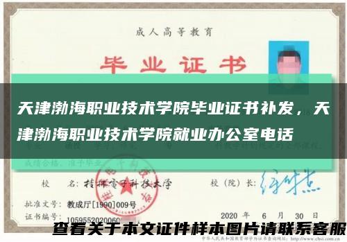 天津渤海职业技术学院毕业证书补发，天津渤海职业技术学院就业办公室电话缩略图