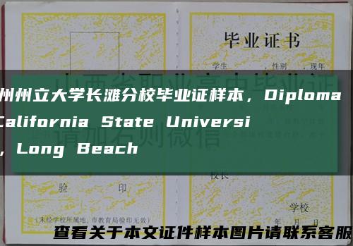 加州州立大学长滩分校毕业证样本，Diploma of California State University, Long Beach缩略图