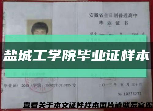 盐城工学院毕业证样本缩略图