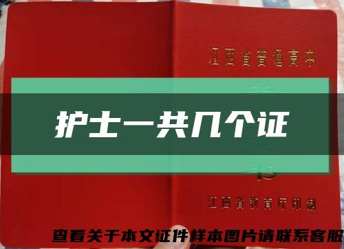 护士一共几个证缩略图