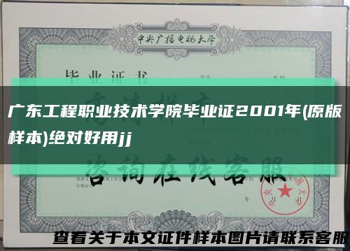 广东工程职业技术学院毕业证2001年(原版样本)绝对好用jj缩略图