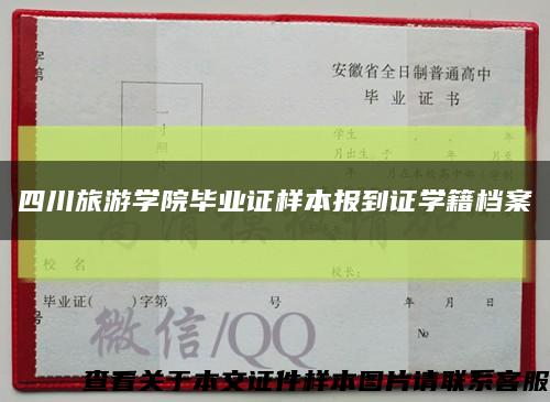 四川旅游学院毕业证样本报到证学籍档案缩略图