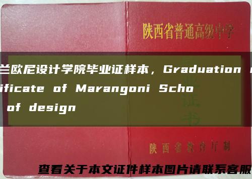 马兰欧尼设计学院毕业证样本，Graduation certificate of Marangoni School of design缩略图
