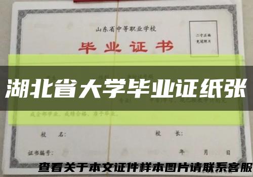 湖北省大学毕业证纸张缩略图