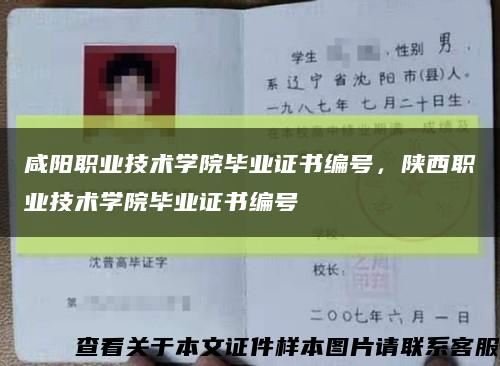 咸阳职业技术学院毕业证书编号，陕西职业技术学院毕业证书编号缩略图