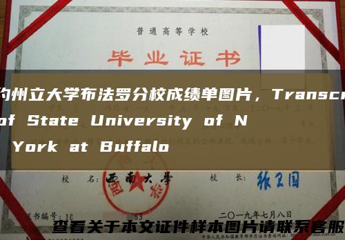 纽约州立大学布法罗分校成绩单图片，Transcript of State University of New York at Buffalo缩略图