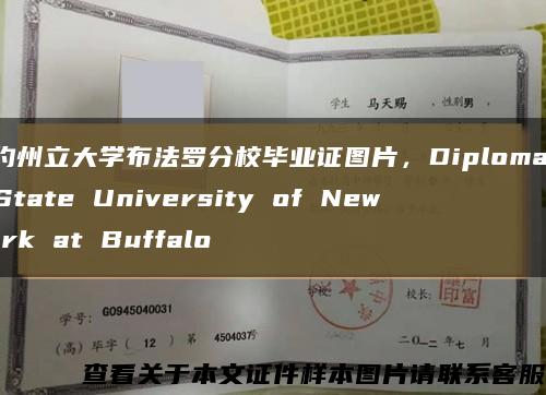 纽约州立大学布法罗分校毕业证图片，Diploma of State University of New York at Buffalo缩略图