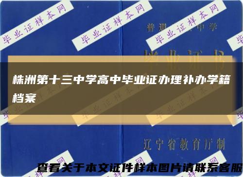 株洲第十三中学高中毕业证办理补办学籍档案缩略图