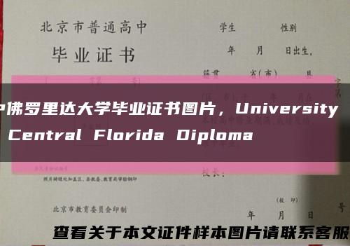 中佛罗里达大学毕业证书图片，University of Central Florida Diploma缩略图