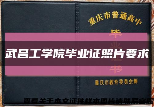 武昌工学院毕业证照片要求缩略图