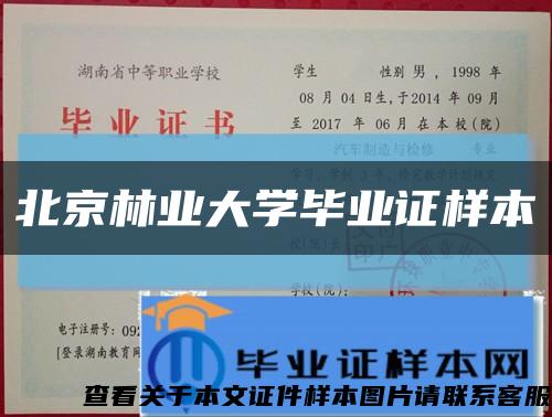 北京林业大学毕业证样本缩略图
