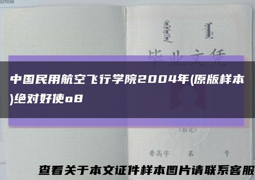 中国民用航空飞行学院2004年(原版样本)绝对好使o8缩略图
