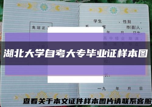 湖北大学自考大专毕业证样本图缩略图