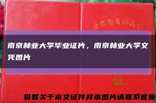 南京林业大学毕业证片，南京林业大学文凭图片缩略图