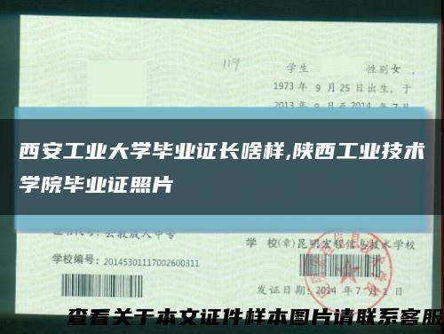 西安工业大学毕业证长啥样,陕西工业技术学院毕业证照片缩略图