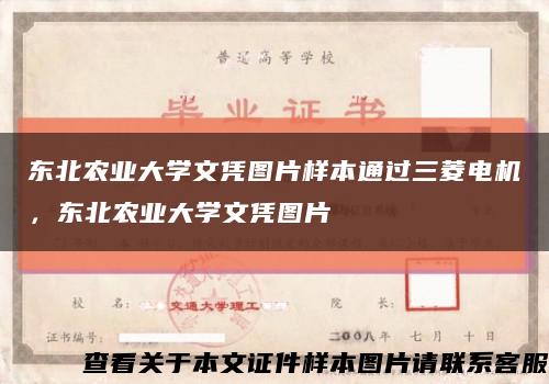 东北农业大学文凭图片样本通过三菱电机，东北农业大学文凭图片缩略图
