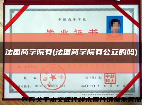 法国商学院有(法国商学院有公立的吗)缩略图