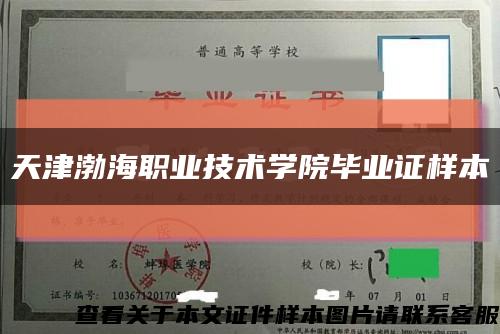天津渤海职业技术学院毕业证样本缩略图