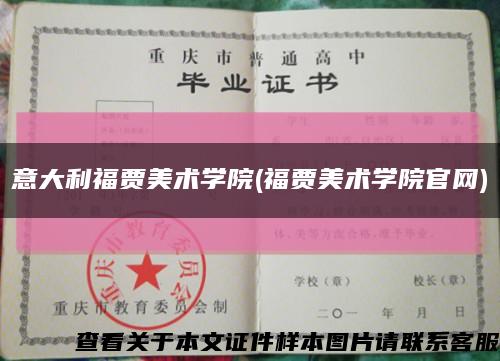 意大利福贾美术学院(福贾美术学院官网)缩略图