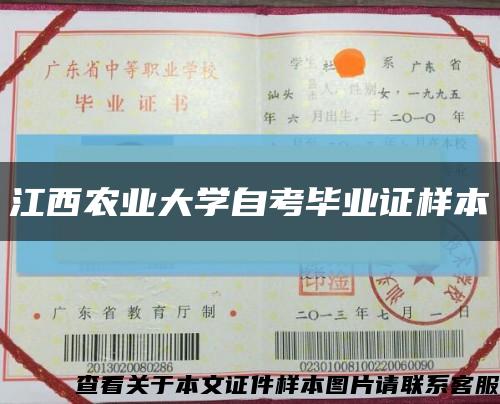江西农业大学自考毕业证样本缩略图