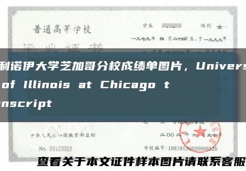 伊利诺伊大学芝加哥分校成绩单图片，University of Illinois at Chicago transcript缩略图