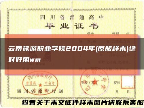 云南旅游职业学院2004年(原版样本)绝对好用wm缩略图