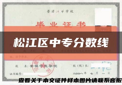 松江区中专分数线缩略图