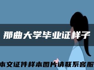 那曲大学毕业证样子缩略图
