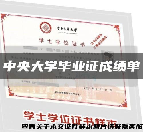 中央大学毕业证成绩单缩略图