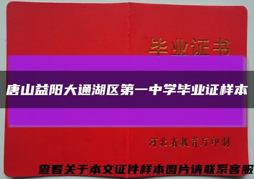 唐山益阳大通湖区第一中学毕业证样本缩略图