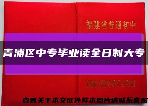 青浦区中专毕业读全日制大专缩略图