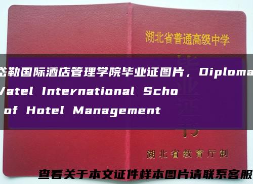 瓦岱勒国际酒店管理学院毕业证图片，Diploma of Vatel International School of Hotel Management缩略图