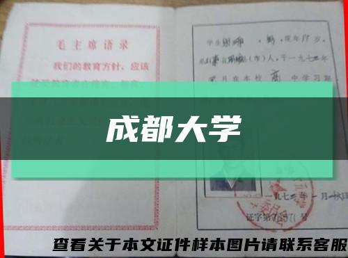 成都大学缩略图