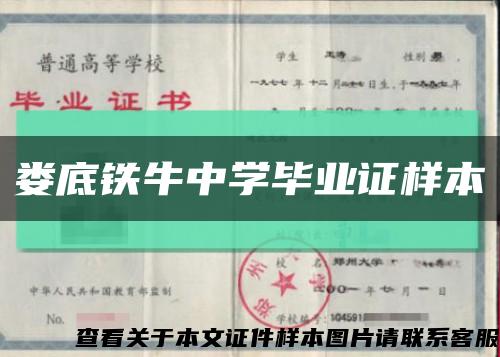娄底铁牛中学毕业证样本缩略图