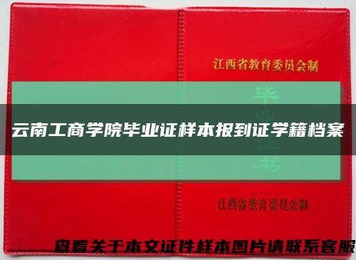 云南工商学院毕业证样本报到证学籍档案缩略图