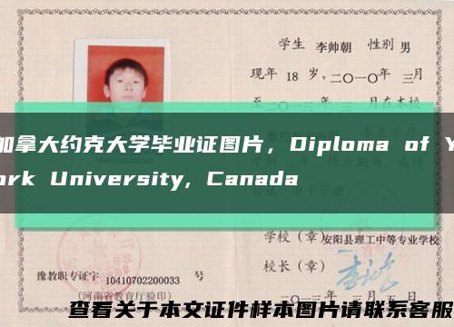 加拿大约克大学毕业证图片，Diploma of York University, Canada缩略图