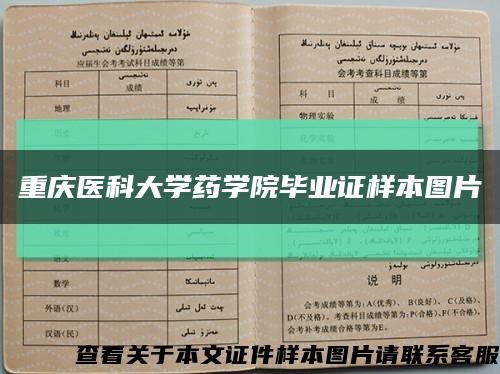 重庆医科大学药学院毕业证样本图片缩略图