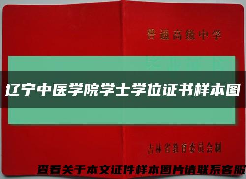 辽宁中医学院学士学位证书样本图缩略图