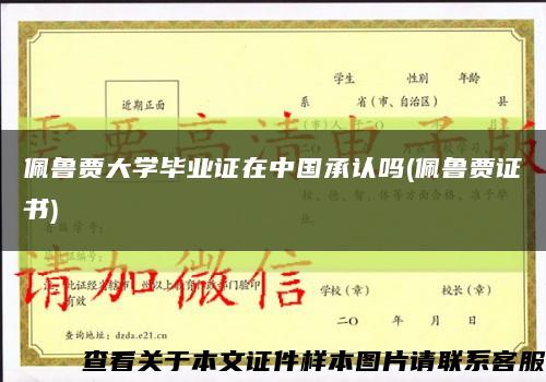 佩鲁贾大学毕业证在中国承认吗(佩鲁贾证书)缩略图